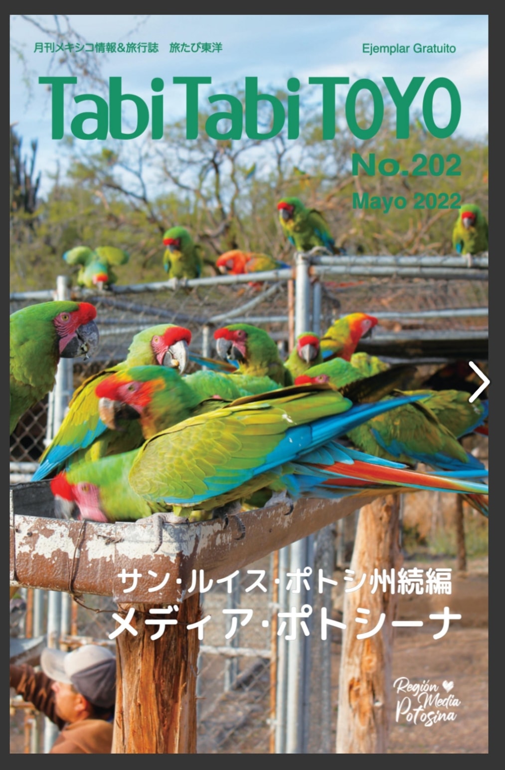 world-news